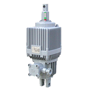 制作精巧、危險(xiǎn)系數(shù)低